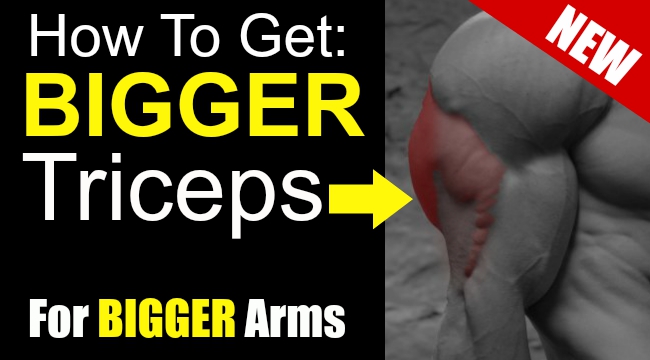 How to Add Inches to Your Arms Pt.2