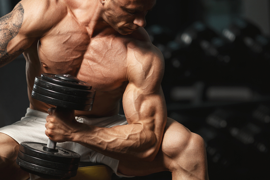 3 Rules to Consistently Make Muscle Gains