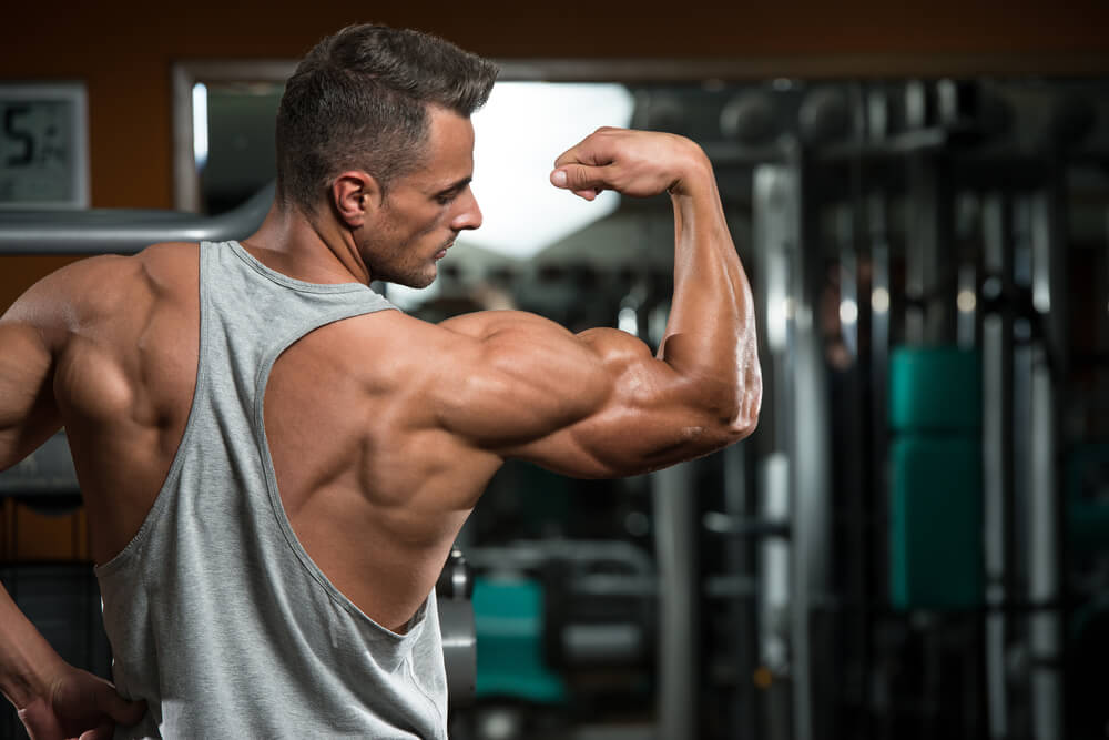 How Much Muscle Can You Build Naturally WITHOUT Drugs