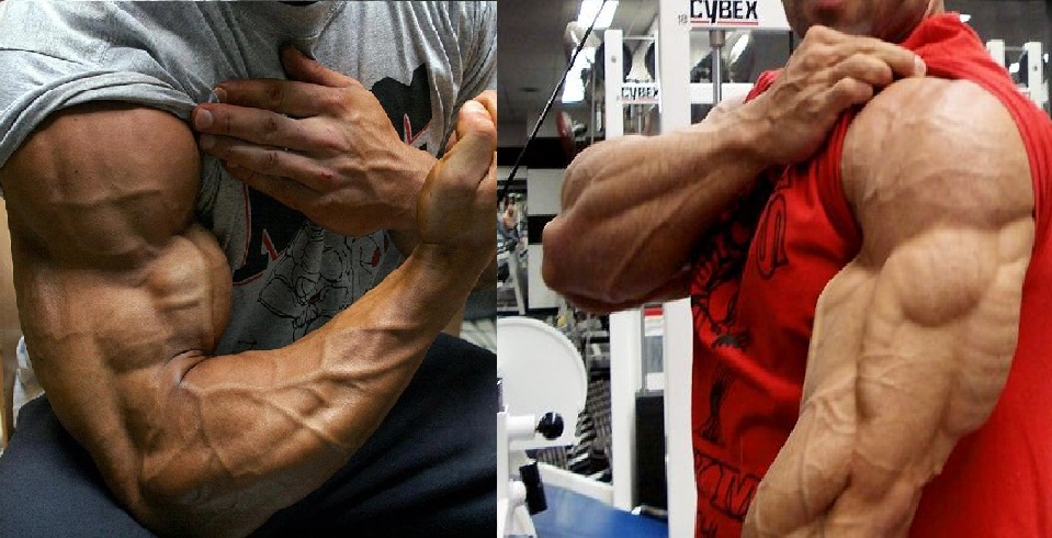 1 Little Known Arm Training Trick for Faster Muscle Growth