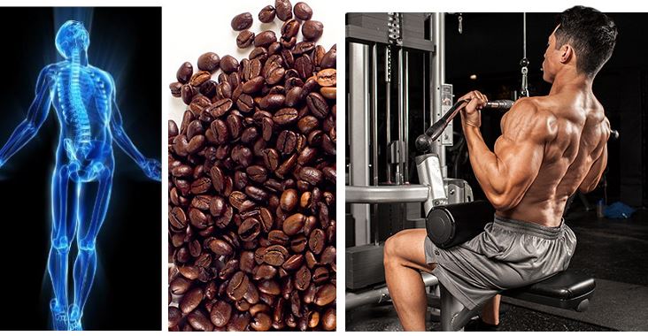 Here’s How Caffeine Affects The Ketogenic Diet For Weight Loss