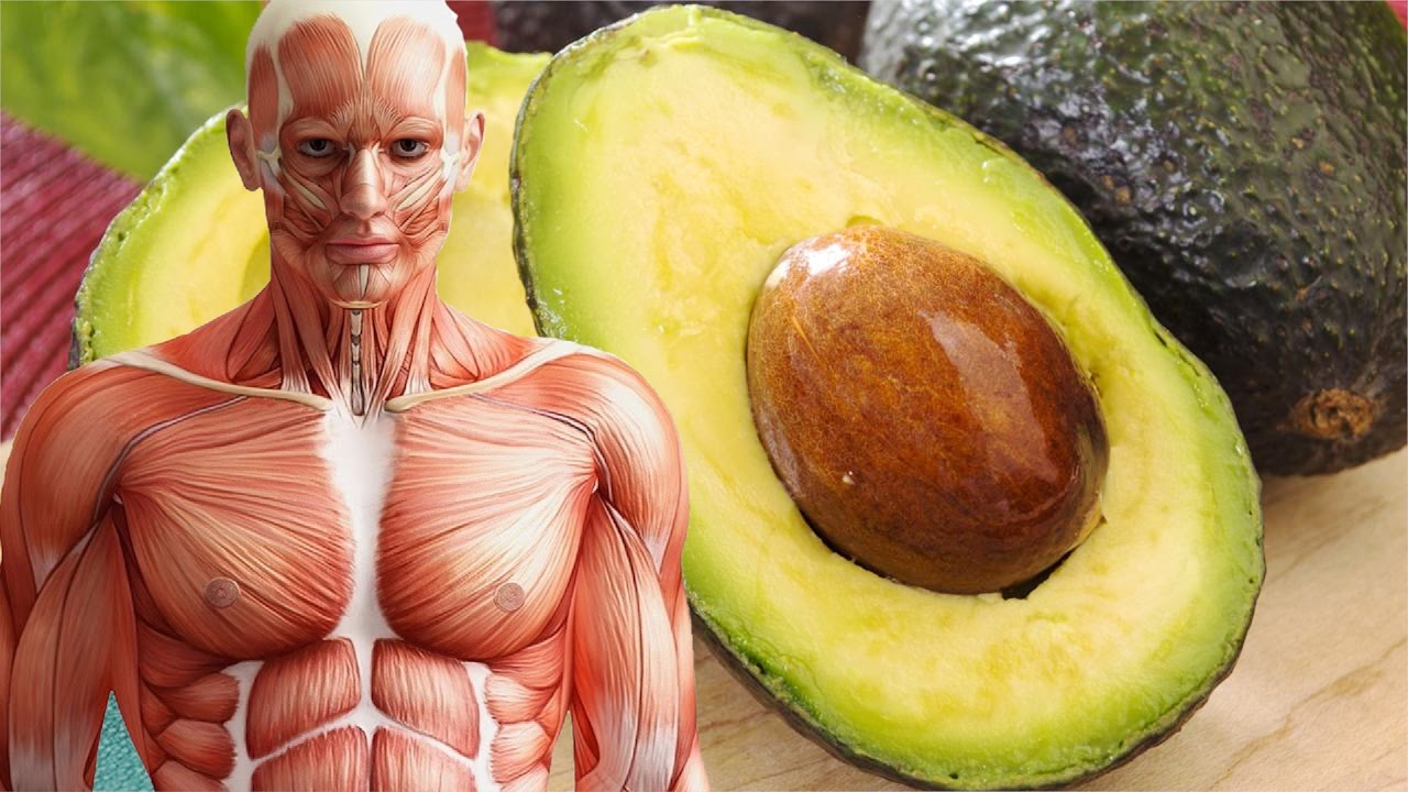 What Avocados Really Do To Your Health and Body
